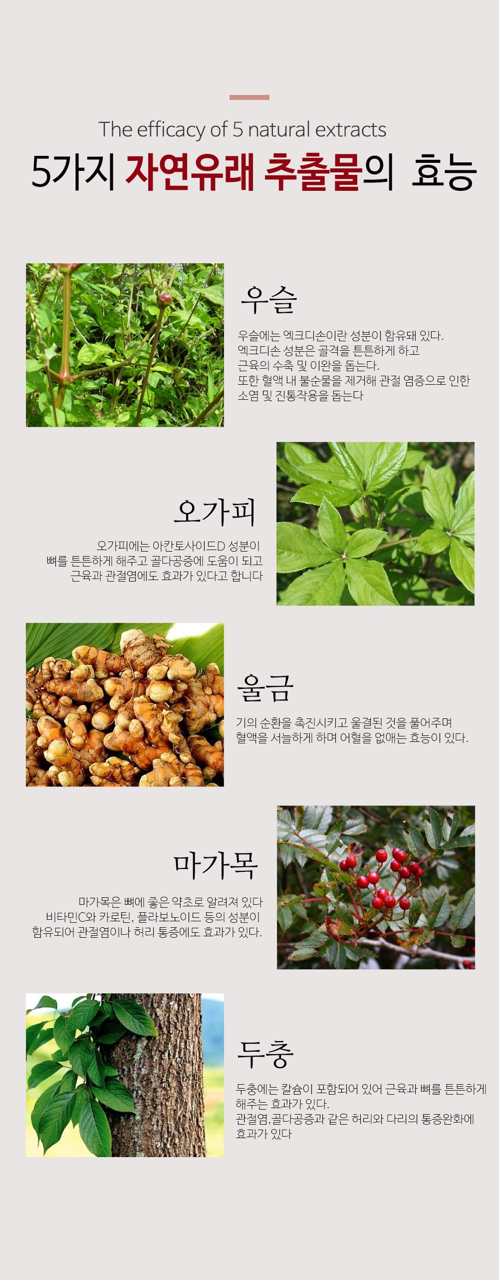 발라바스 동전 자석 손목 파스 어깨 팔꿈치 손목 관절 통증 근육통 완화 패치